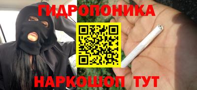 мет Бийск