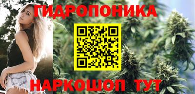 мет Бийск