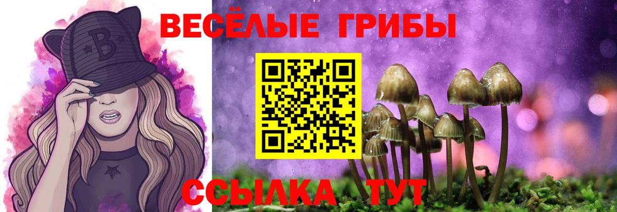 Псилоцибиновые грибы прущие грибы  Вход с VPN  Избербаш 